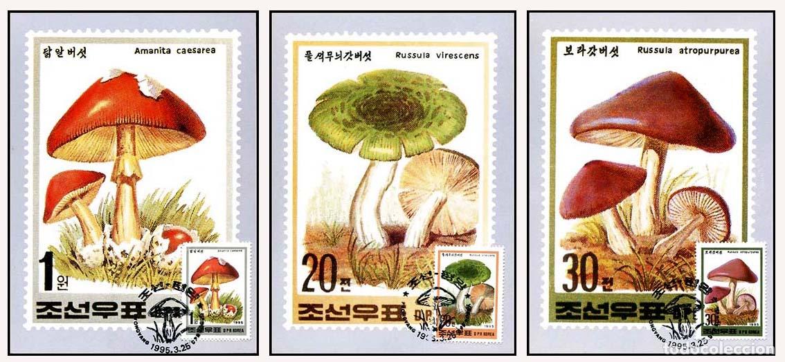 Sellos: RPDC 1995 Hongos - Foto 1