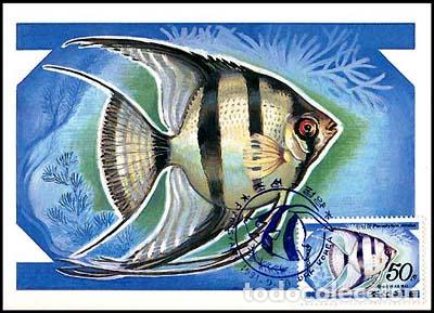 Sellos: RPDC 1991 Pterophyllum eimekei - Foto 1