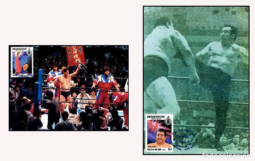 Sellos: RPDC 1995 Lucha - Foto 1