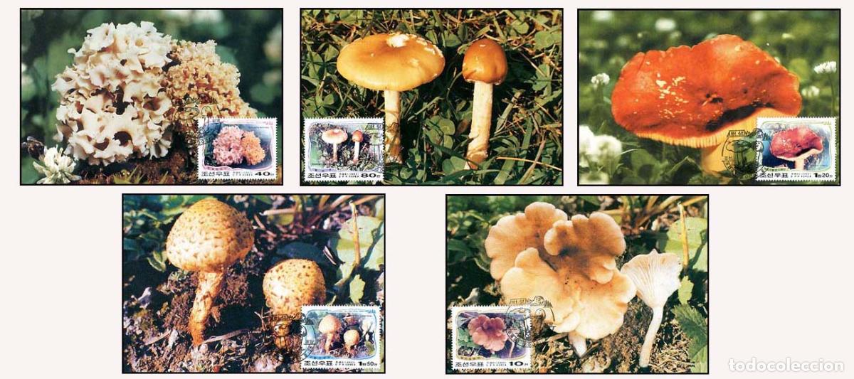 Sellos: RPDC 2002 Hongos - Foto 1