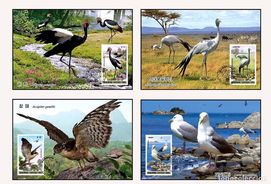 Sellos: RPDC 2009 Aves - Foto 1