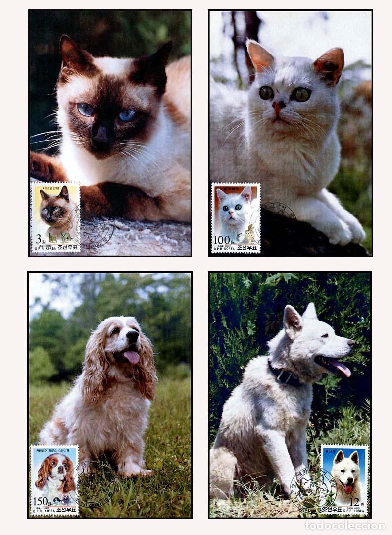 Sellos: RPDC 2002 Gatos y perros - Foto 1