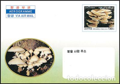 Sellos: RPDC 2003 Hongos - Foto 1