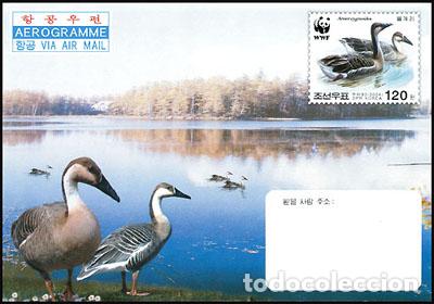 Sellos: RPDC 2004 cisnes - Foto 1