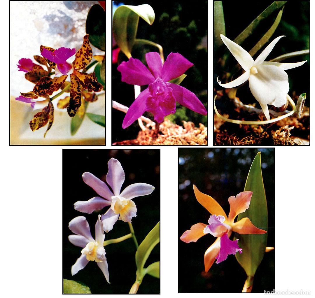 Sellos: RPDC 2001 orquнdeas - Foto 1