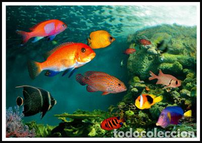 Sellos: RPDC 2014 Pez - Foto 1