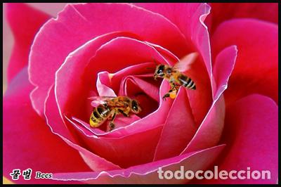 Sellos: RPDC 2013 Abejas - Foto 1