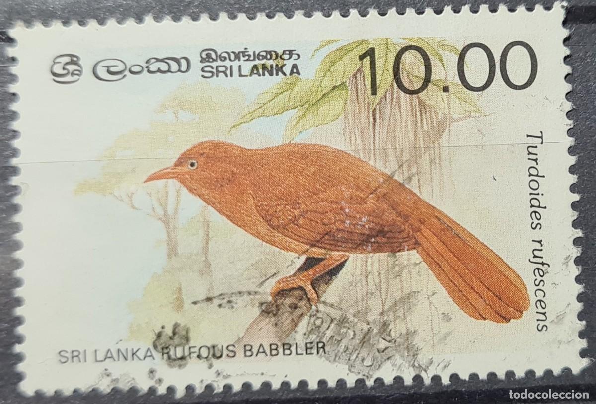 Selos: Sello usado de Sri Lanka 1987. Fauna: pájaros típicos