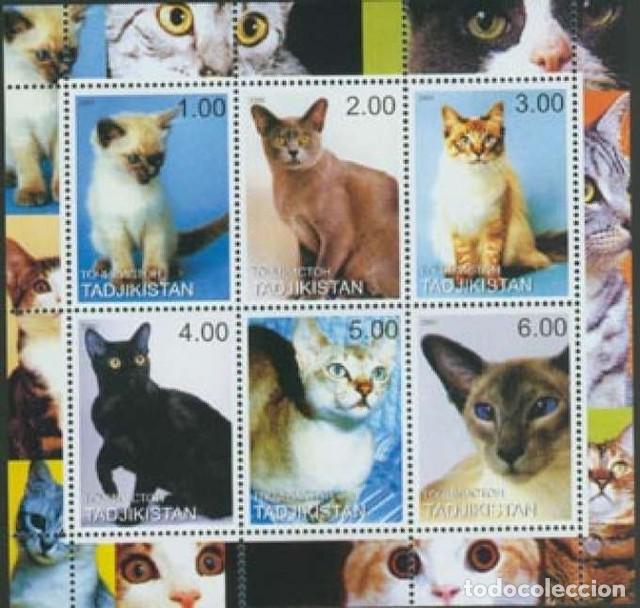 Francobolli: TADJIKISTAN 2000 SHEET MNH CATS GATTI CHATS GATOS KATZEN