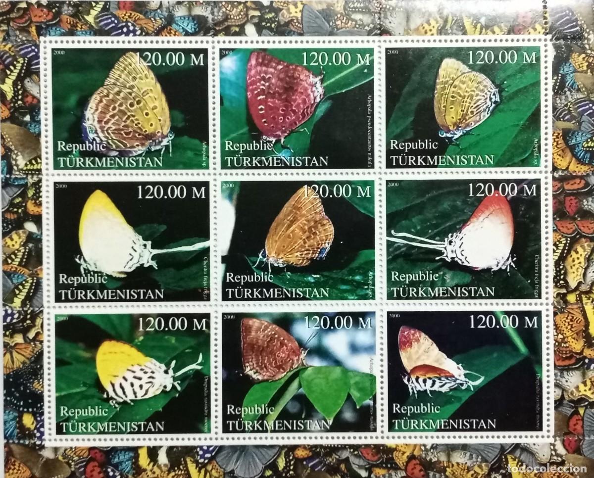 Sellos: TURKMENISTAN 2000 SHEET MNH BUTTERFLIES PAPILLONS SCHMETTERLINGEN MARIPOSAS BORBOLETAS FARFALLE