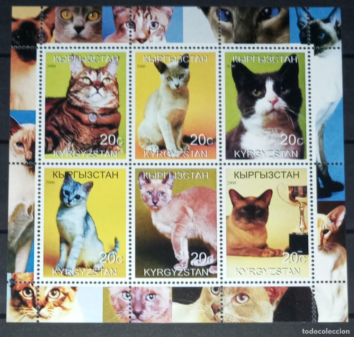 Francobolli: KYRGYZSTAN 2000 SHEET MNH CATS GATTI CHATS GATOS KATZEN