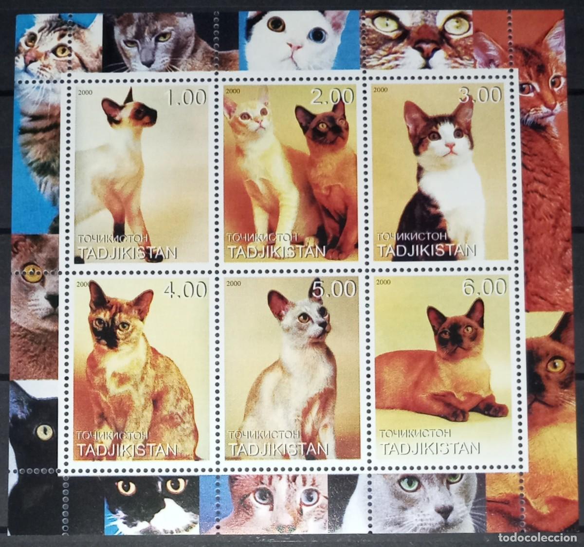Francobolli: TADJIKISTAN 2000 SHEET MNH CATS GATTI CHATS GATOS KATZEN