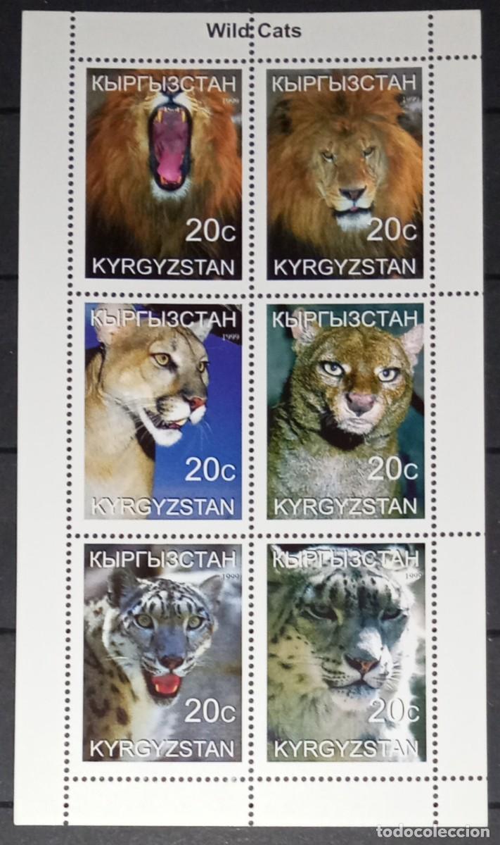 Timbres: KYRGYZSTAN 1999 SHEET MNH FAUNA MAMIFEROS LIONS LEONES LEONI LOWEN FELINOS FELINES WILDLIFE