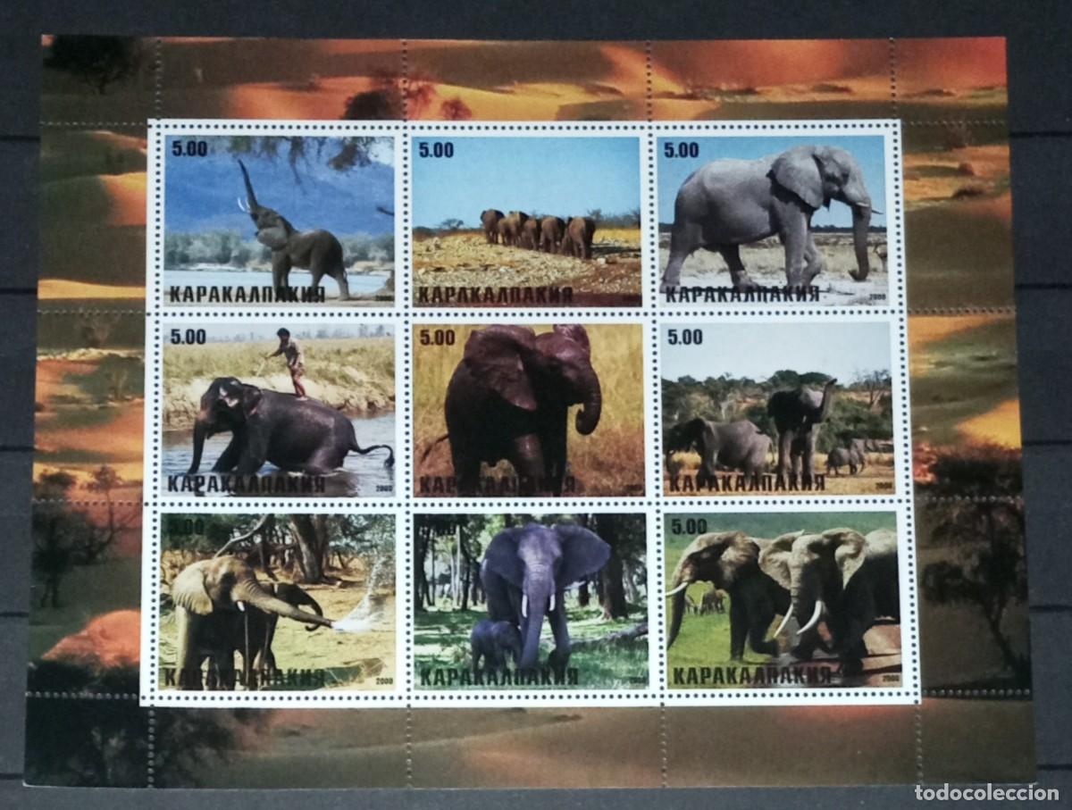 Stamps: KARAKALPAKIA 2000 SHEET MNH FAUNA MAMIFEROS ELEPHANTS ELEFANTES ELEFANTI ELEFANTEN WILDLIFE
