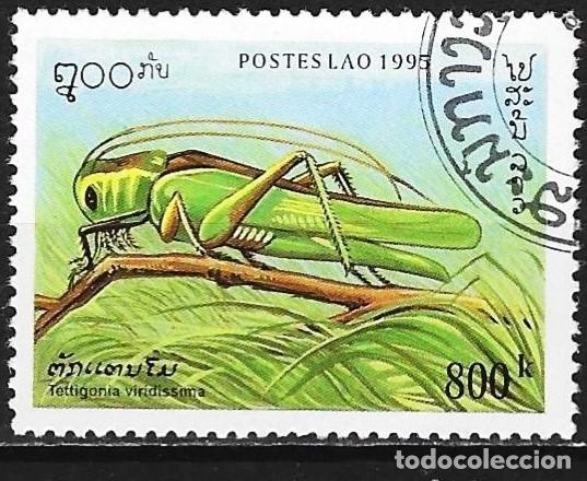 Sellos: Laos 1995 - Mi 1484 - YT 1199 - Insecto : Grillo verde
