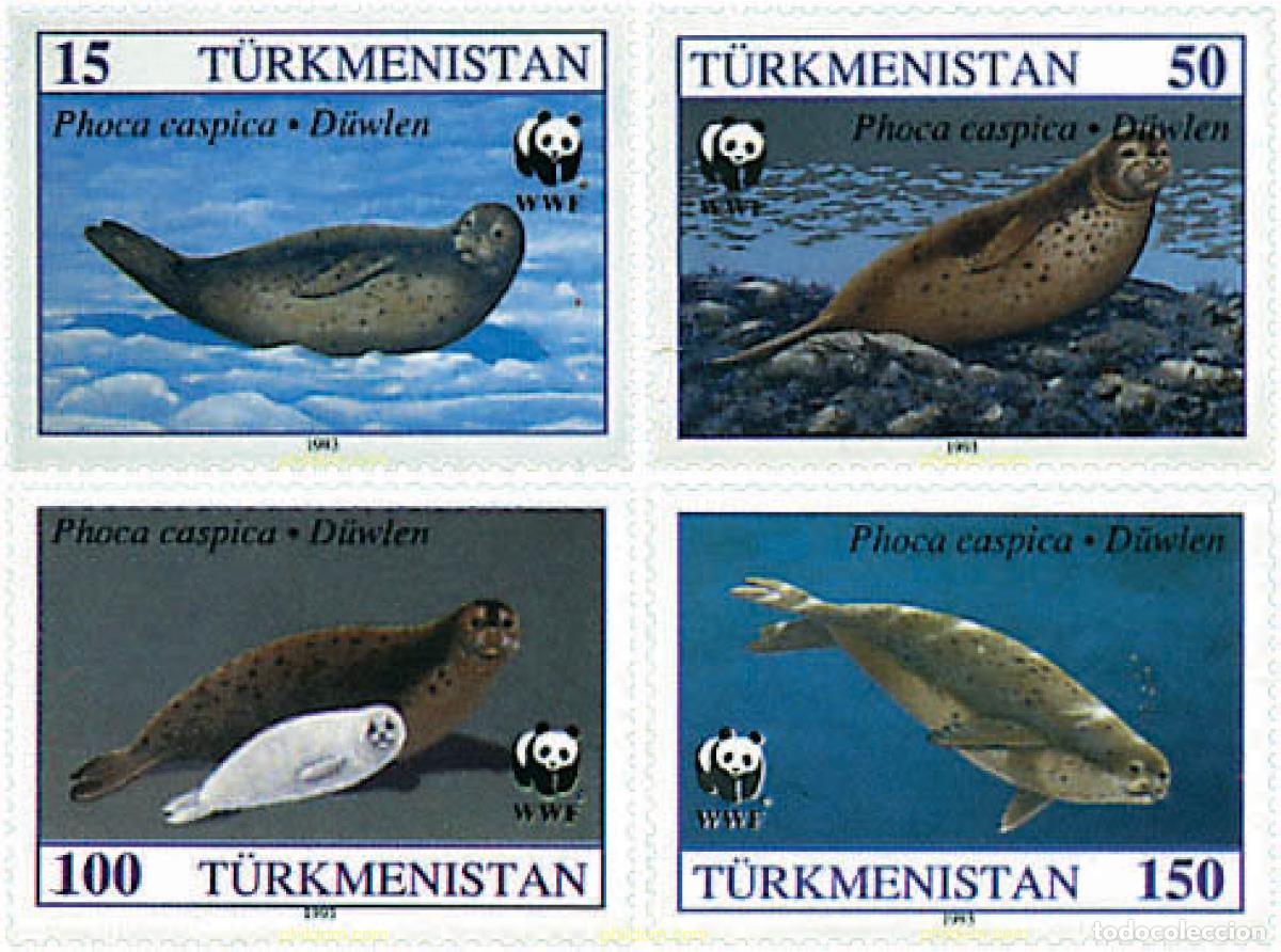 Sellos: 74864 MNH TURKMENISTAN 1993 FOCA DEL CASPIO