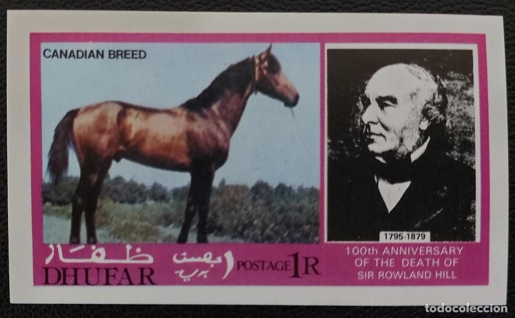 Sellos: DHUFAR 1979 SHEET MNH ROWLAND HILL CABALLOS HORSES CHEVAUX CAVALOS PFERDEN CAVALLI