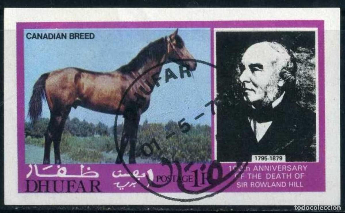 Sellos: DHUFAR 1979 SHEET USED MNH ROWLAND HILL CABALLOS HORSES CHEVAUX PFERDEN CAVALOS CAVALLI