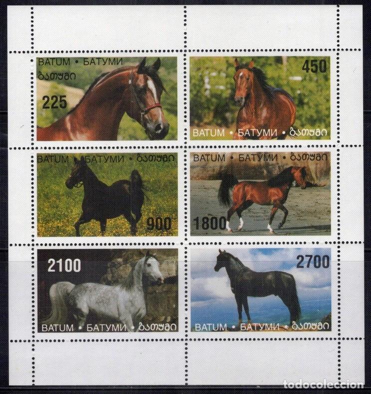 Sellos: BATUM 1996 SHEET MNH CABALLOS HORSES CHEVAUX CAVALOS PFERDEN CAVALLI