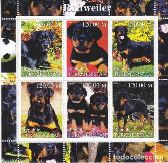 Sellos: TURKMENISTAN 2000 SHEET MNH ROTTWEILER DOGS CHIENS PERROS HUNDEN CANI CAES