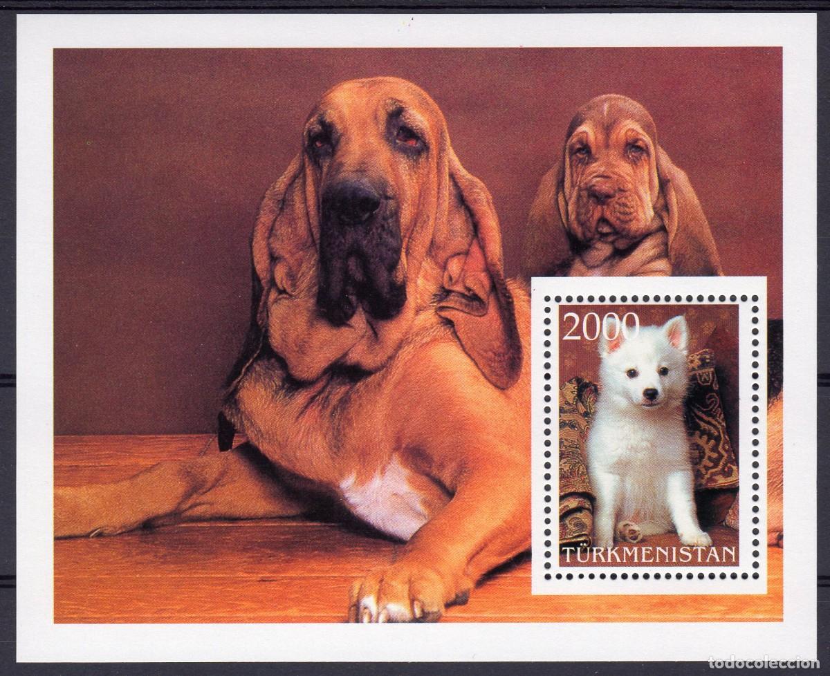 Sellos: TURKMENISTAN 1997 SHEET MNH BLOODHOUND PERRO DE SAN HUBERTO SPITZ JAPONES DOGS CHIENS PERROS HUNDEN