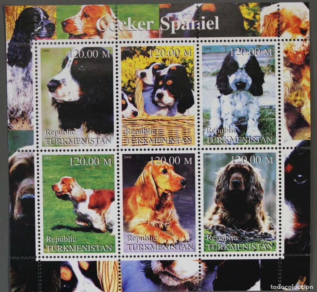 Sellos: TURKMENISTAN 2000 SHEET MNH COCKER SPANIEL DOGS CHIENS PERROS HUNDEN CANI CAES