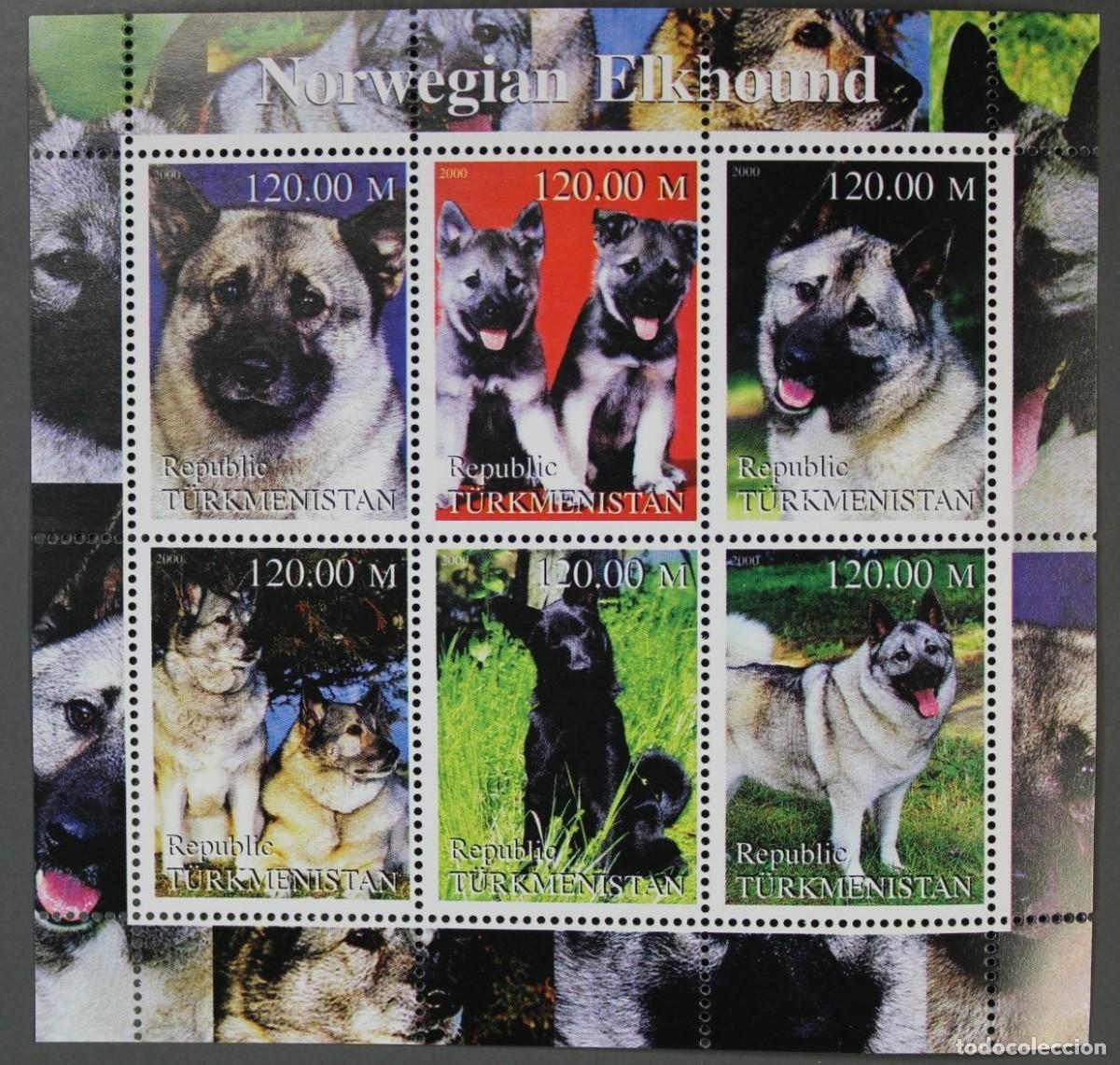 Sellos: TURKMENISTAN 2000 SHEET MNH NORWEGIAN ELKHOUND CAZADOR DE ALCES NORUEGO DOGS CHIENS PERROS HUNDEN