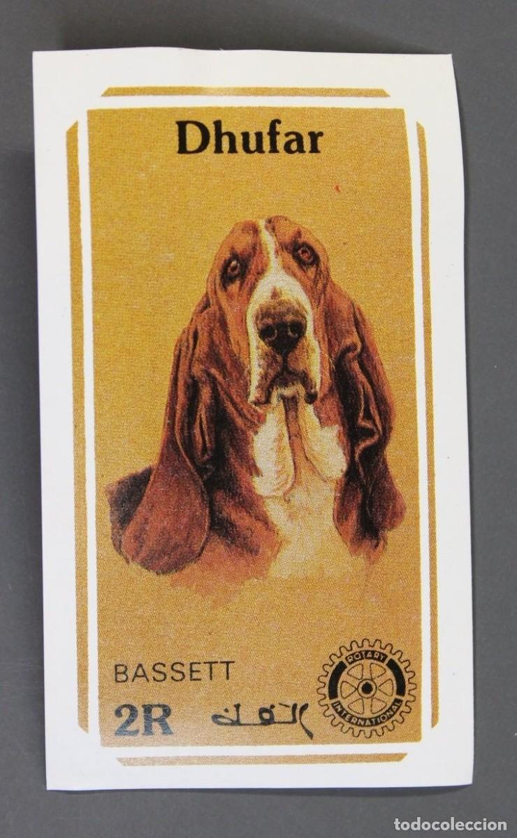 Sellos: DHUFAR 1984 SHEET MNH ROTARY BASSET HOUND DOGS CHIENS PERROS CANI CAES