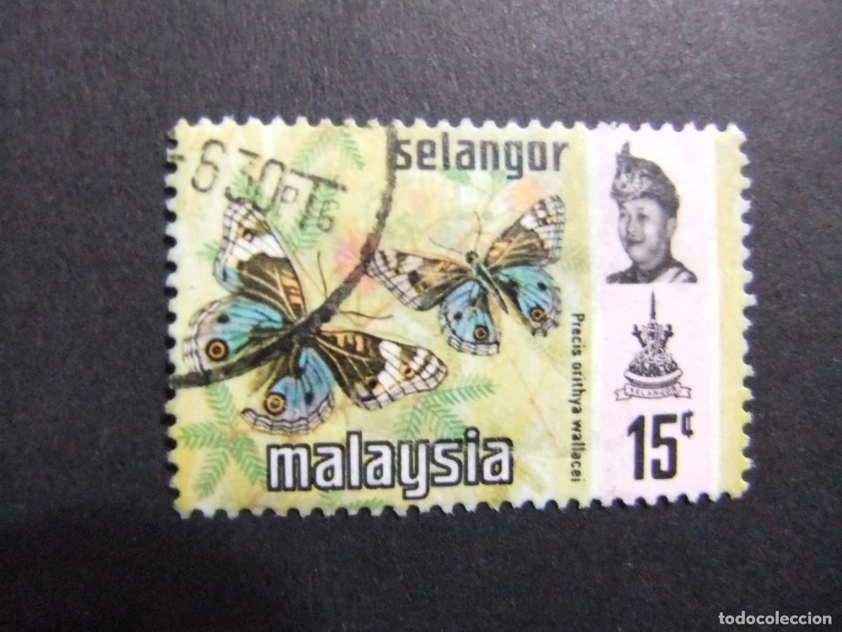 Sellos: 43 SELANGOR 1971 / MARIPOSA PRECIS ORITHYA WALLACEI y SULTAN SALAHUDDIN ABDUL .. / YVERT 98 FU