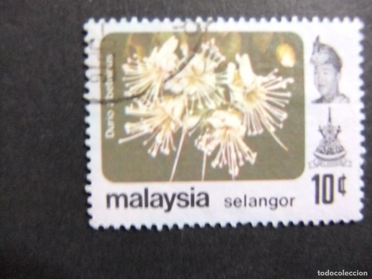 Sellos: 43 SELANGOR 1979 / DURIO ZIBETHINUS y SULTAN SALAHUDDIN ABDUL .. / YVERT 103 FU