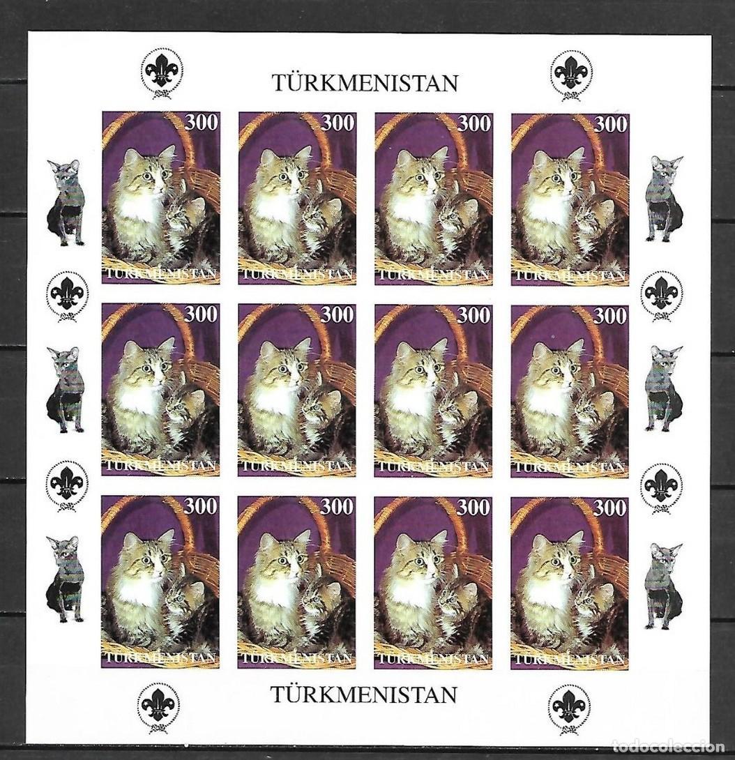 Sellos: TURKMENISTAN 1997 SHEET MNH IMPERF CATS GATTI CHATS GATOS KATZEN