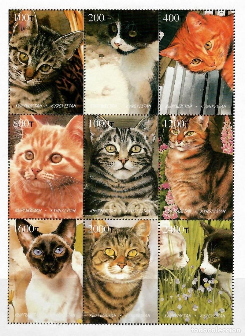 Sellos: KYRGYZSTAN 1998 SHEET MNH CATS GATTI CHATS GATOS KATZEN