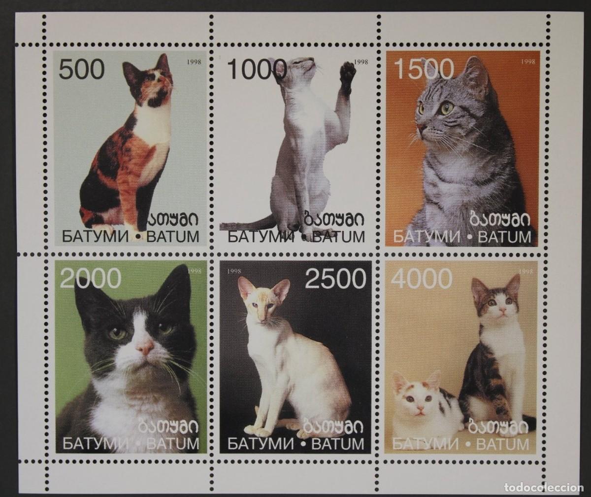 Sellos: BATUM 1998 SHEET MNH CATS GATTI CHATS GATOS KATZEN