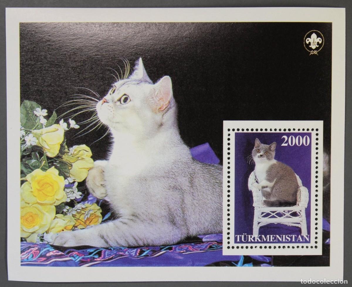 Sellos: TURKMENISTAN 1997 SHEET MNH SCOUT LOGO CATS GATTI CHATS GATOS KATZEN