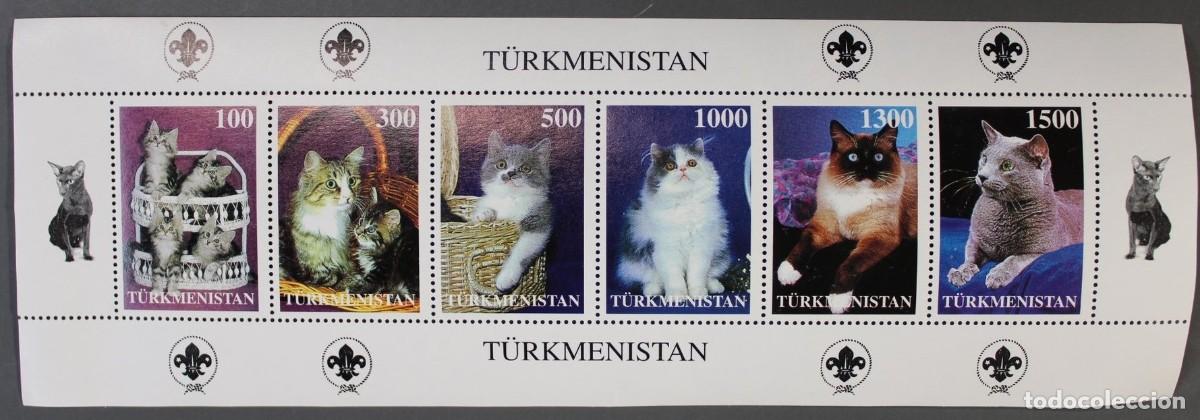 Sellos: TURKMENISTAN 1997 SHEET MNH SCOUT LOGO CATS GATTI CHATS GATOS KATZEN