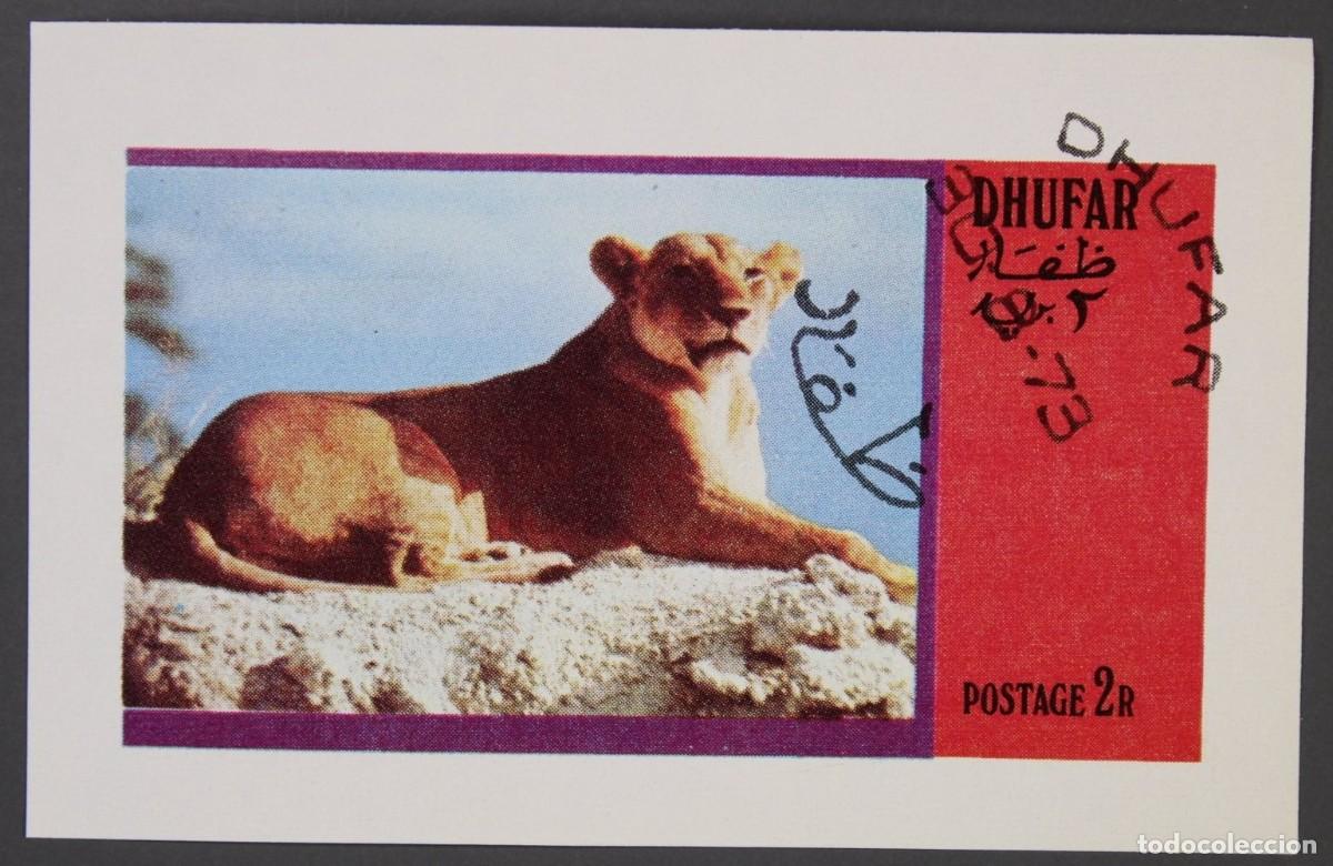 Sellos: DHUFAR 1973 SHEET USED MNH FAUNA MAMIFEROS LIONS LEONES LOWEN FELINS FELINES FELINOS FELINI WILDLIFE