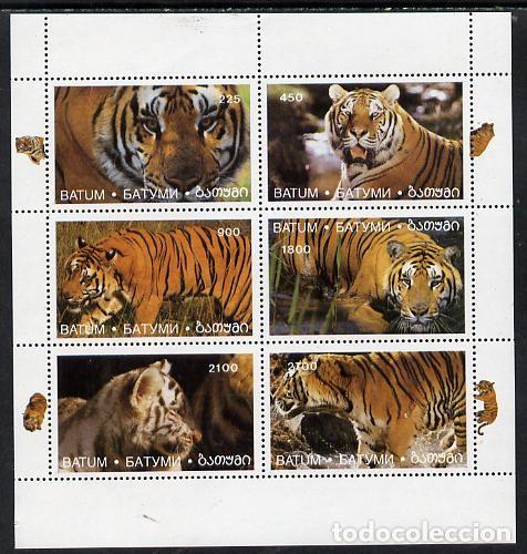 Sellos: BATUM 1996 SHEET MNH FAUNA MAMIFEROS TIGERS TIGRES RAUBKATZEN FELINOS FELINES WILD CATS WILDLIFE