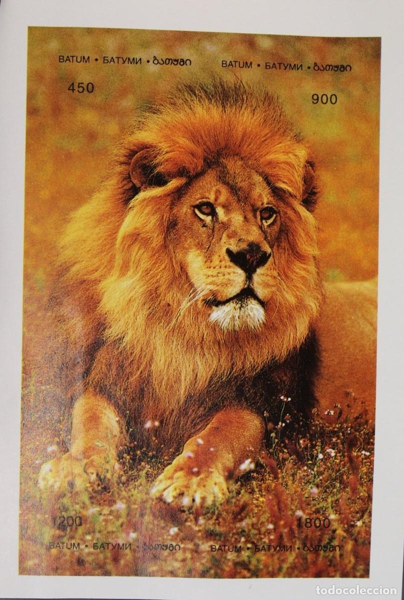 Sellos: BATUM 1997 SHEET MNH IMPERF FAUNA MAMIFEROS LIONS LEONES LOWEN FELINS FELINES FELINOS WILDLIFE