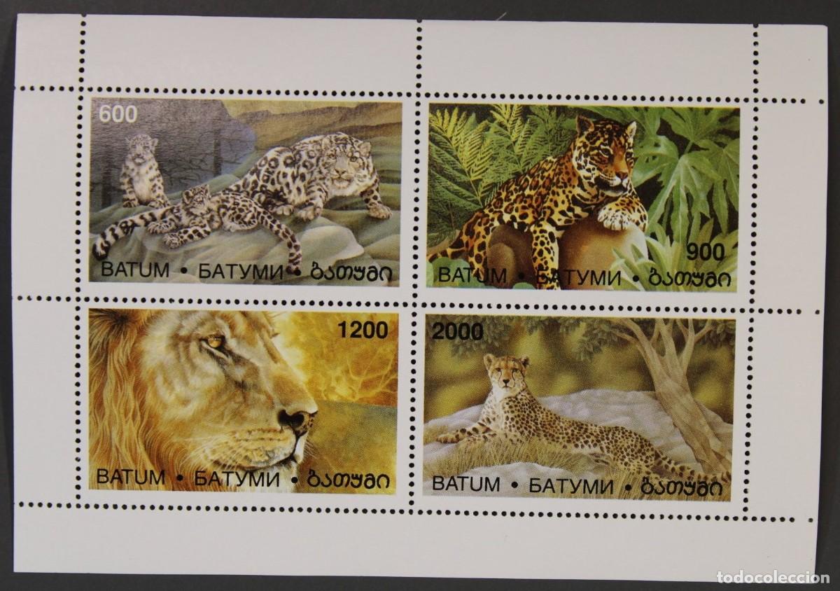 Sellos: BATUM 1997 SHEET MNH FAUNA MAMIFEROS LEONES LEOPARDOS TIGRES PUMAS FELINES FELINOS FELINS WILDLIFE