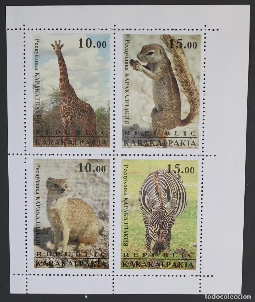 Sellos: KARAKALPAKIA 1996 SHEET MNH FAUNA MAMIFEROS CEBRAS ZEBRAS JIRAFAS MANGOSTAS ARDILLAS WILDLIFE
