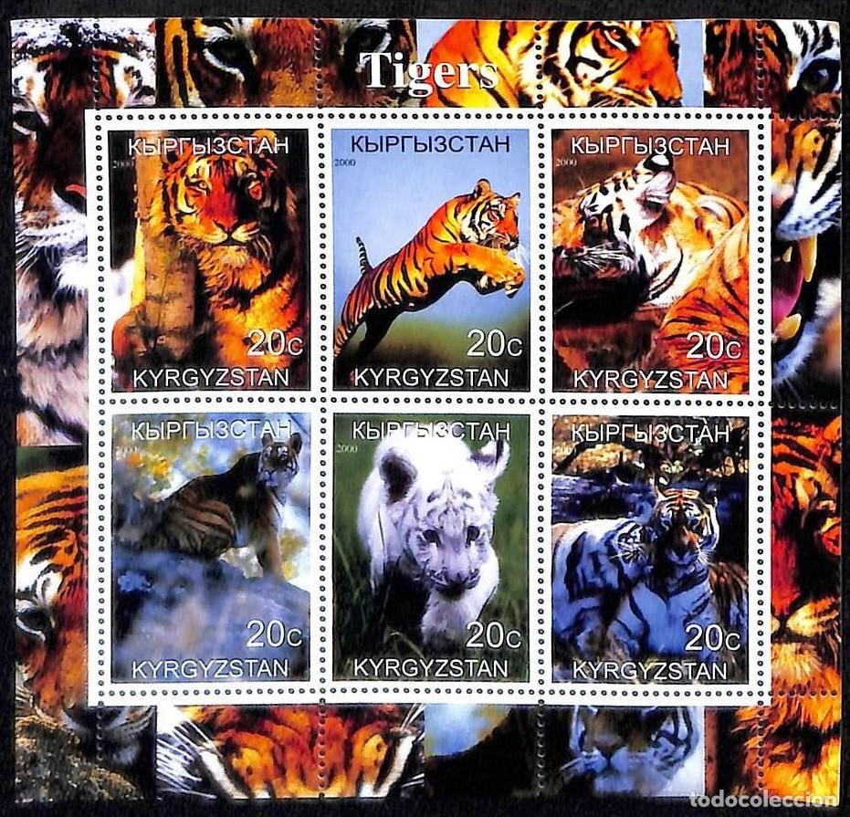 Sellos: KYRGYZSTAN 2000 SHEET MNH FAUNA MAMIFEROS TIGERS TIGRES RAUBKATZEN FELINOS FELINES WILD CATS