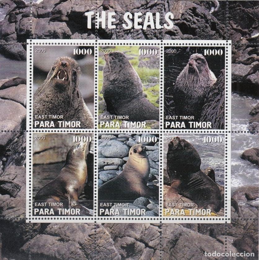 Stamps: TIMOR 2000 SHEET MNH FAUNA MAMIFEROS SEALS FOCAS PHOQUES FOCHE SEEHUNDE MARINE LIFE