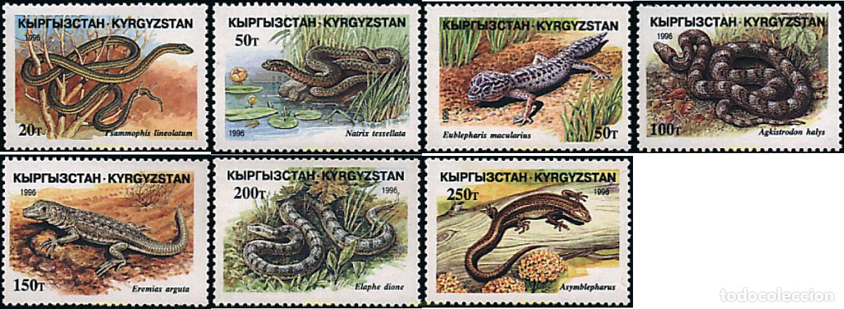 Sellos: 29091 MNH KIRGUIZISTAN 1996 REPTILES
