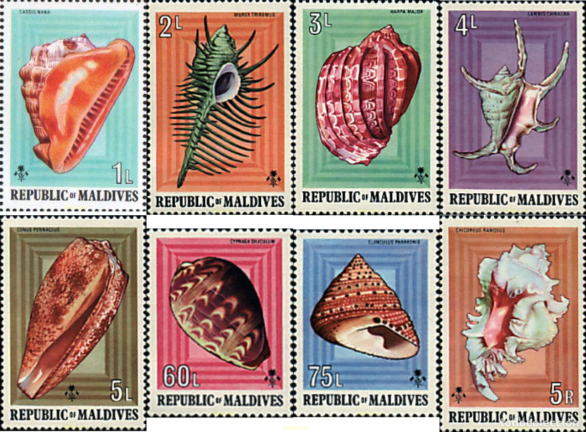 Sellos: 52836 MNH MALDIVAS 1975 CONCHAS