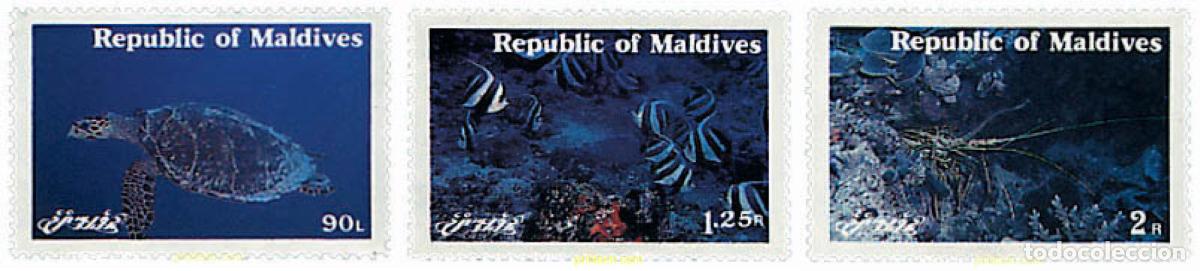 Sellos: 31652 MNH MALDIVAS 1980 FAUNA MARINA