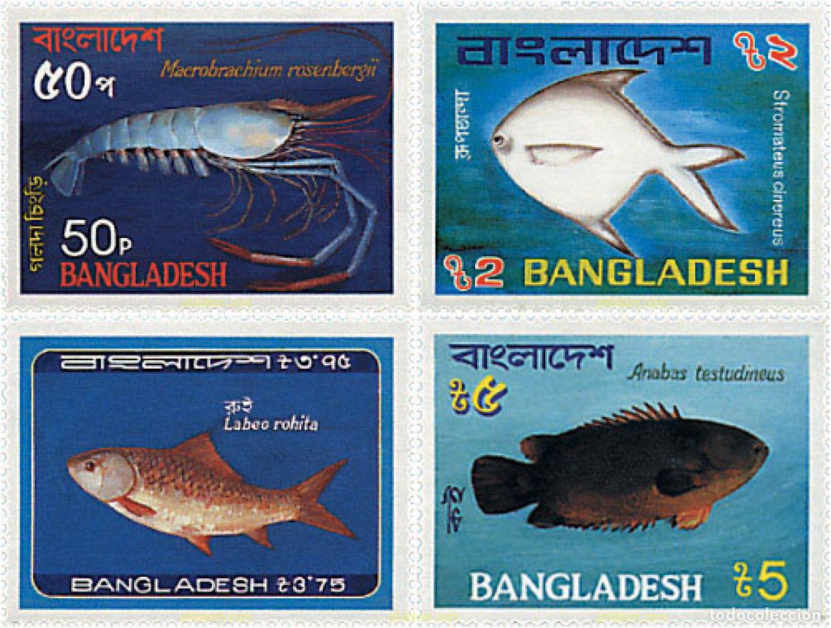 Sellos: 28491 MNH BANGLADESH 1983 FAUNA MARINA