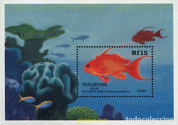 Sellos: 340634 MNH MALDIVAS 1989 PECES
