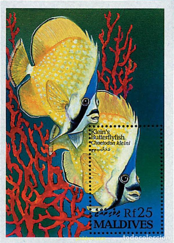 Sellos: 340820 MNH MALDIVAS 1993 PECES