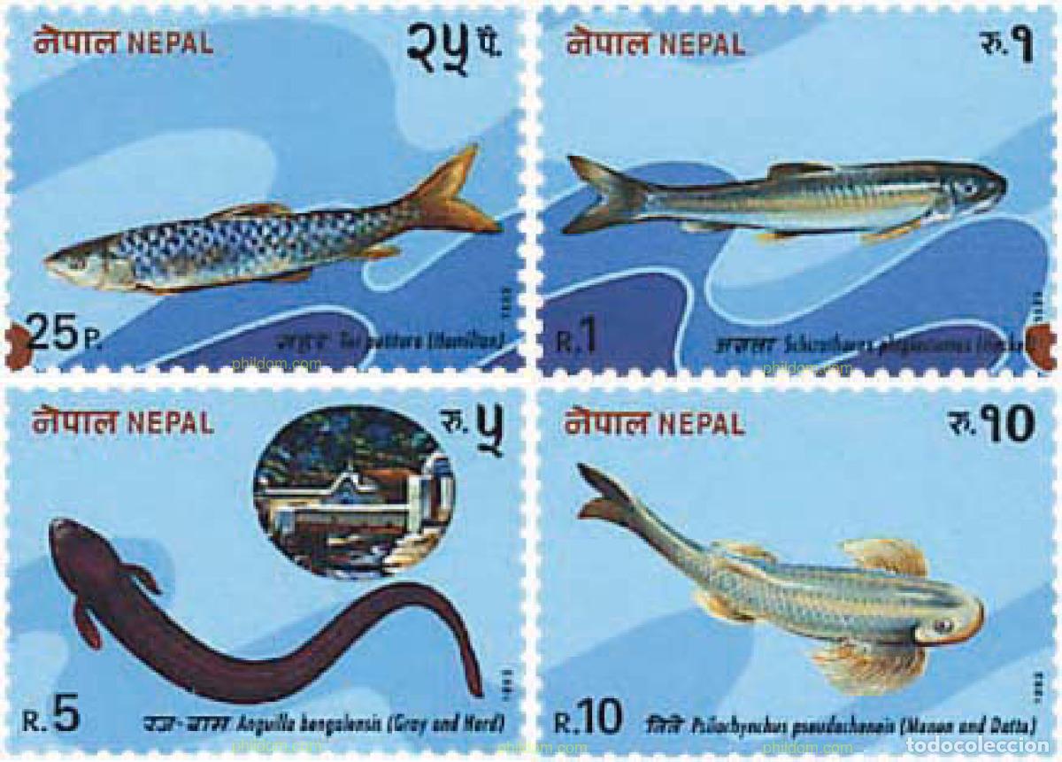 Sellos: 28558 MNH NEPAL 1993 PECES