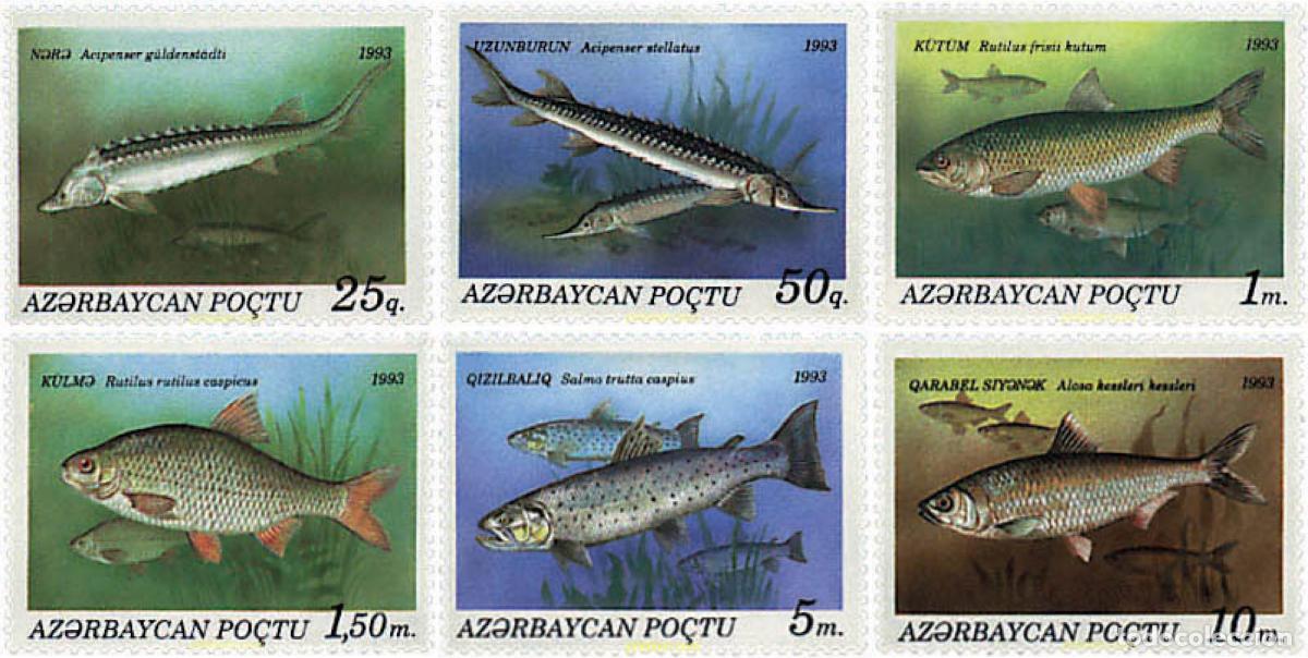 Sellos: 83823 MNH AZERBAIYAN 1993 PECES